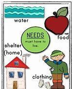 Basic Needs Information